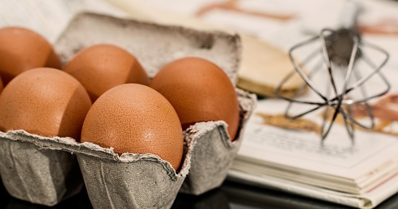 15 recettes végétariennes faciles pour le quotidien (et vraiment rapides)