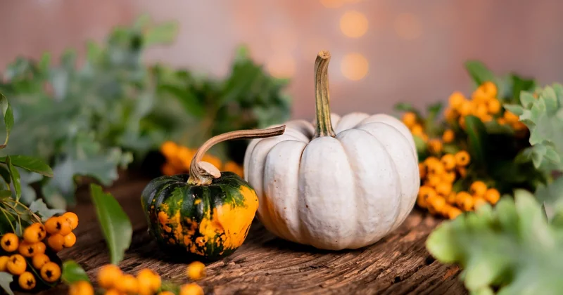 Quels légumes choisir selon la saison